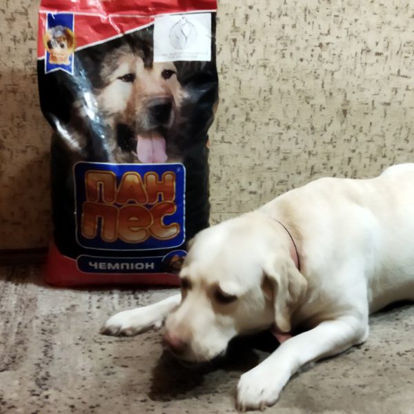 The Global Humanitarian Project ”Life” is supporting the animals in Ukraine