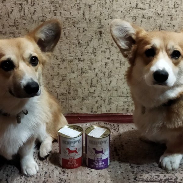 The Global Humanitarian Project ‘Life’ is also supporting the animals in Ukraine