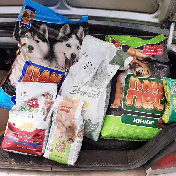 As many people are leaving their homes with their pets