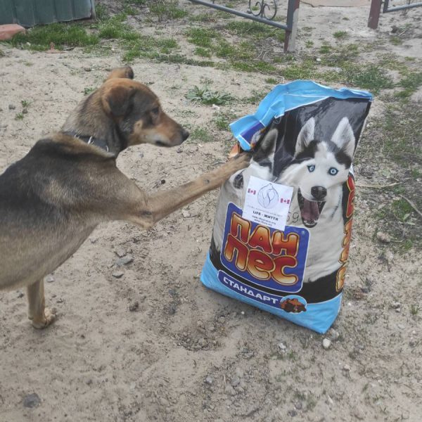 We do not forget to help our furry friends
