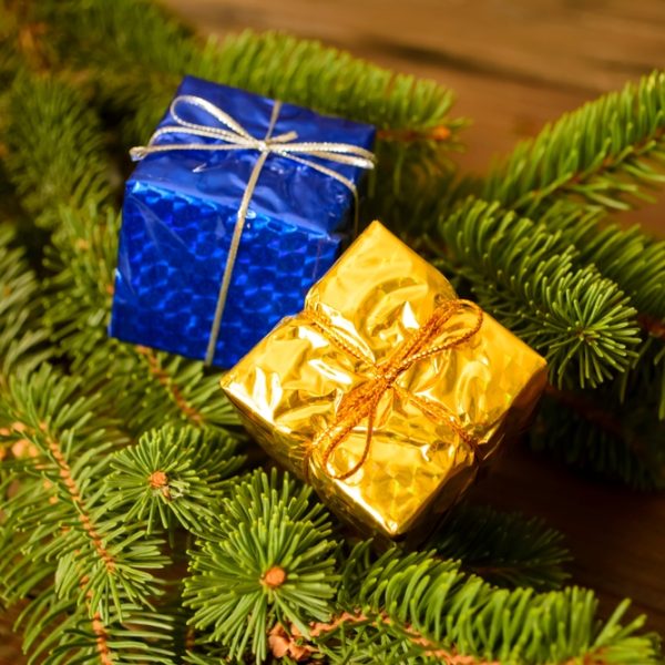 Support a child in Ukraine for the holidays