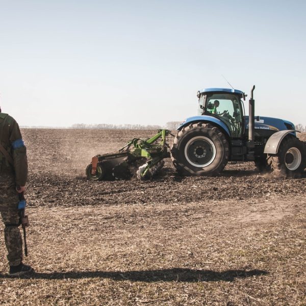 Le projet LIFEUA soutient le secteur agricole dans les régions les plus touchées par la guerre
